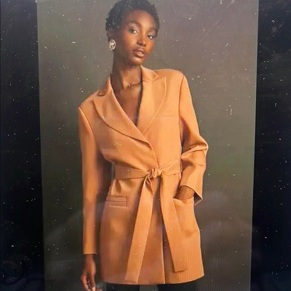 Mare Mare Anthropologie Elegant Camel Blazer--New